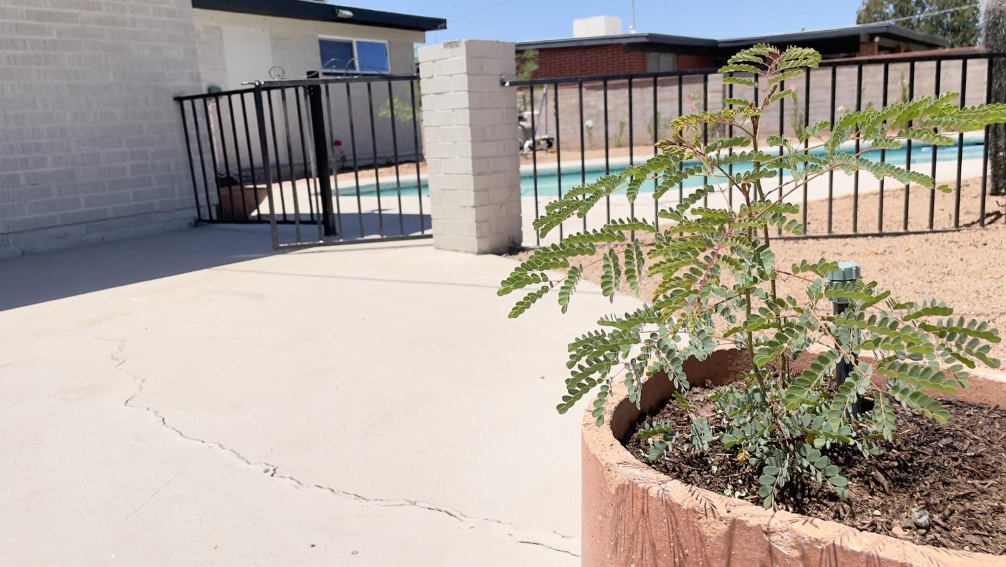 Private Home - Heated Pool, Billiards, Darts, Foosball, Fireplace, 5 Smart Tvs, Bbq, Cotton Bedding - The Saguaro Sanctuary, Pool Heat Optional 투산 외부 사진